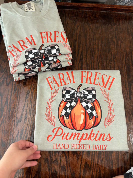 Farm Fresh Pumpkins